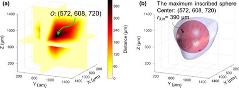 determination   maximum inscribed sphere  scientific diagram