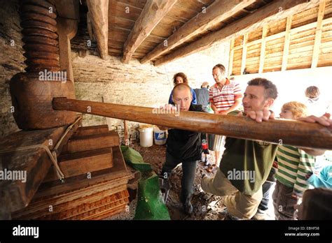 Making Cider In Devon Uk Stock Photo Alamy