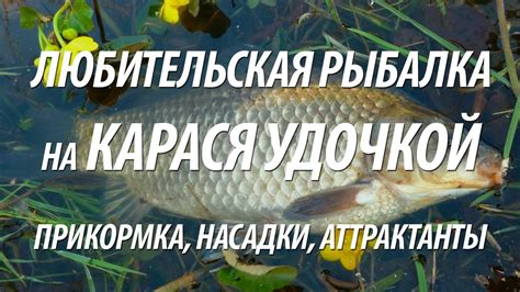 РЫБАЛКА НА КАРАСЯ ПОПЛАВОЧНОЙ УДОЧКОЙ. ПРИКОРМКА, ПРИМАНКИ, АТТРАКТАНТЫ ...