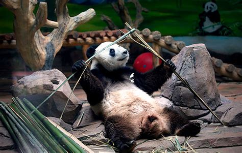 Фотогалереи - Интерфакс