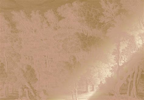 KEK Amsterdam Or Papier peint paysages gravés nude MW 158 200x280cm LIVING AND CO