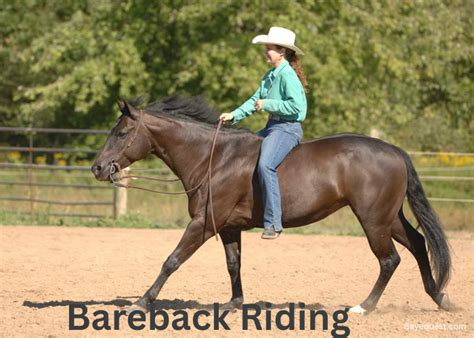 race horse   time greatest   time horses