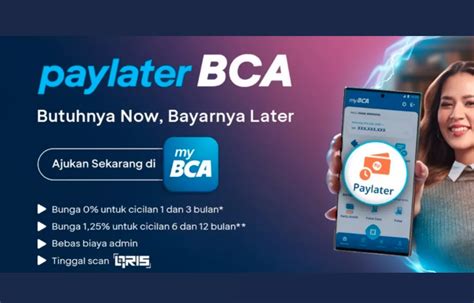 Pinjaman Online Bca Rp Juta Langsung Cair Pakai Foto Ktp Inilah