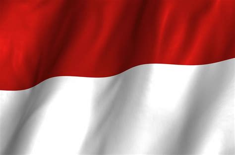 background merah putih vector  vectorifiedcom collection