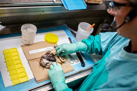 Up Close Medical Laboratory Hamilton Health Sciences