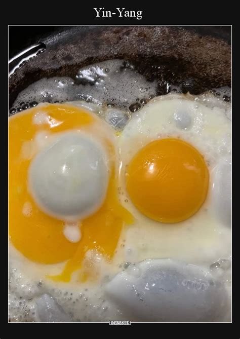 Yin-Yang - DEBESTE.de