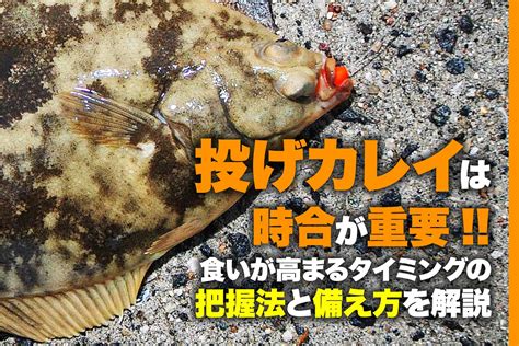 投げカレイは時合が重要 食いが高まるタイミングの把握法と備え方を解説 関西のつりweb 釣りの総合情報メディアmeme