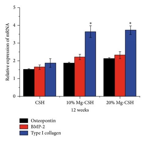 Mrna Relative Expressions Of Osteopontin Bmp And Type I Collagen