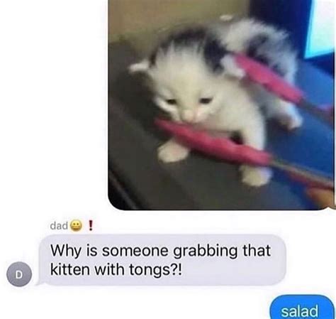 Media From The Camera Roll Of A Closeted Gay Man On Twitter Https T Co VmijyLajBP Twitter