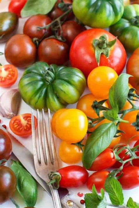 50+ BEST tomato varieties 🍅 🌿 plus 1000+ rare cultivars