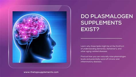 Plasmalogen Supplements: 7 Things to Know - The Top Supplements