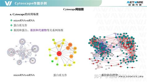 转录组 代谢组专题十 cytocape绘图操作 知乎