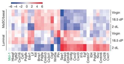 Hands On Visualization Of Rna Seq Results With Heatmap