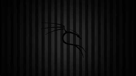 Kali Desktop Wallpapers Wallpaper Cave
