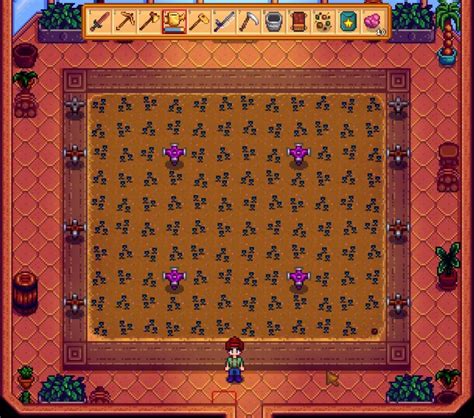 Aspersor Stardew Valley - Guía Definitiva de Aspersores en Stardew Valley | CityGame