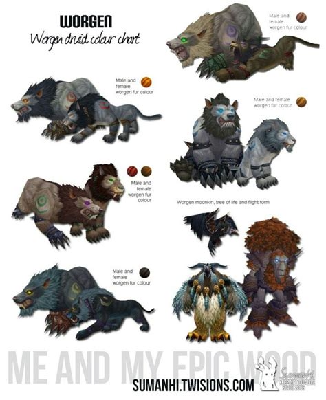 Worgen Druid Color Chart World Of Warcraft Game World Of Warcraft Druid