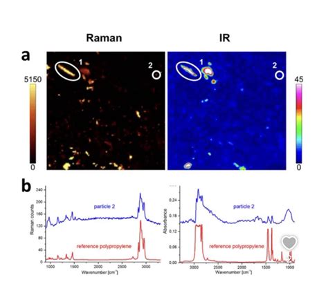 Raman Or Infrared Spectroscopy Can You Really Tell Them Apart