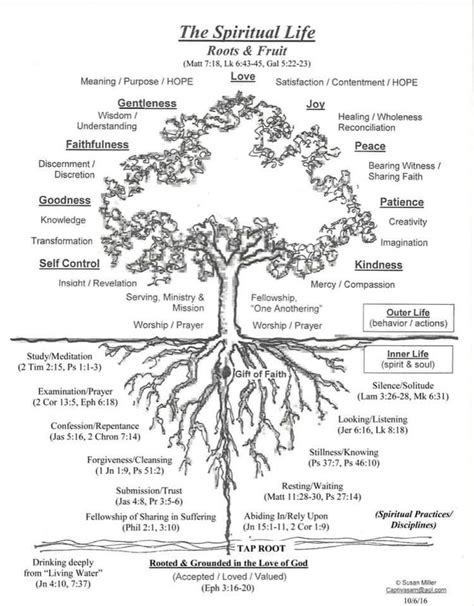 the tree of life is shown in black and white, with its roots exposed to ...