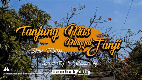 Tanjung Mas Ninggal Janji Dj Slow Bass Version Cover Instrument