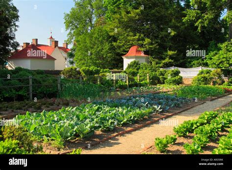 Historic Upper Garden George Washingtons Mt Vernon Estate And Gardens