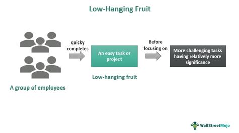 Low-Hanging Fruit - Meaning, Examples, Vs High-Hanging Fruit