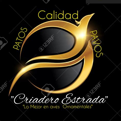 Casa - 👀🐄 Todos creen saber cómo invertir… pero pocos conocen esta