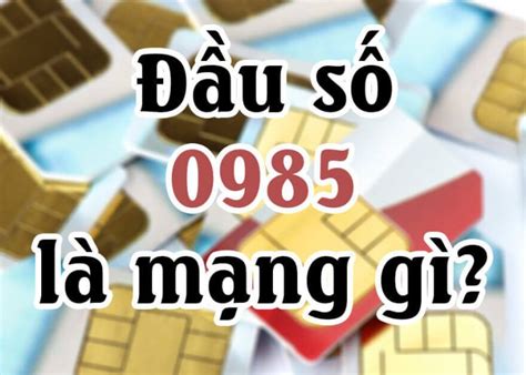 0985 là mạng gì Đầu sim di động 0985 mang đến ý nghĩa gì Thích chia Sẻ