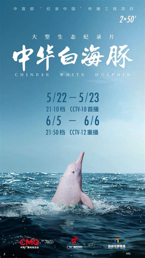 Documentary The Chinese White Dolphin Coming Tonight Cgtn