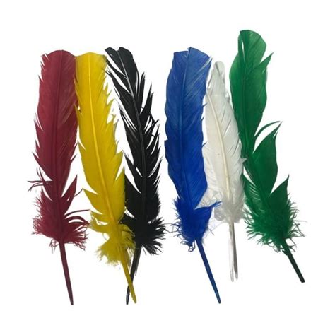 quill feather   ritualistic writing  spell casting