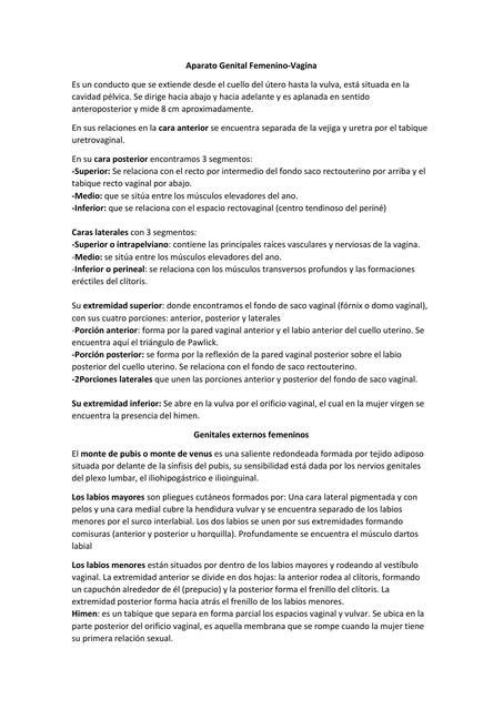 Aparato Genital Femenino Vagina Sebasti N Cevallos Udocz