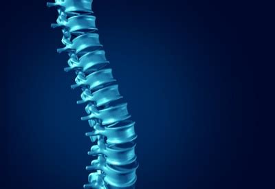 Flexion - Funktion, Aufgabe & Krankheiten | MedLexi.de