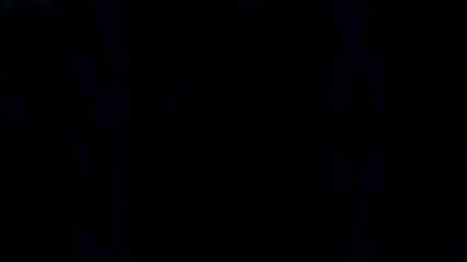 Ikusa Otome Valkyrie G EP 1 2 ALL SEX SCENES FULL HD