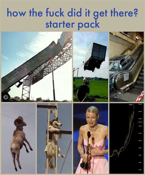 How The Fuck Did It Get There Starter Pack R Starterpacks