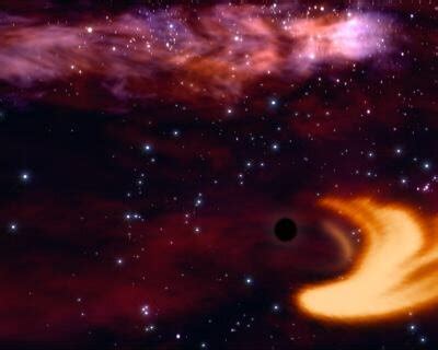 Black Hole Ripping Apart A Star