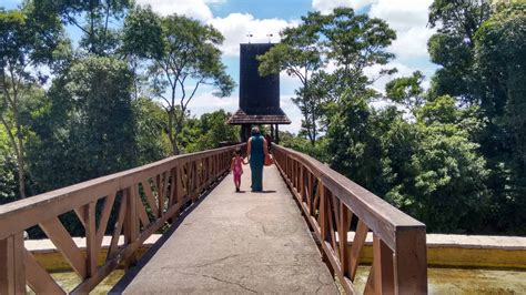 Parques De Curitiba Os Melhores Lugares Para Visitar