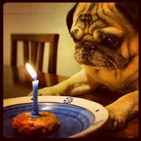Happybirthdaymisswelty