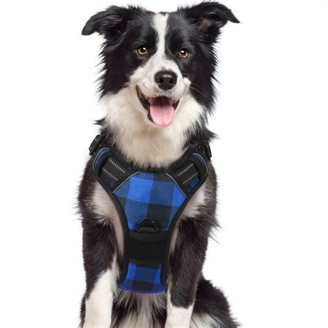 Rabbitgoo Dog Harness Stylish And Durable Your Best Choice Tagged