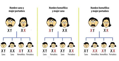 GENÉTICA HERENCIA Y LEYES DE MENDEL LA HERENCIA LIGADA AL SEXO