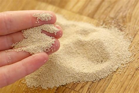 Two Common Types Of Yeast That People Use At Home To Make Bread And Pastries Are Active Dry