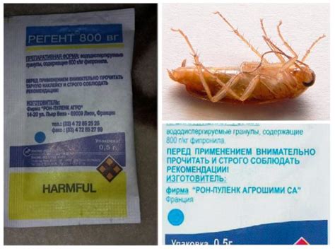 Средство от колорадского жука регент и регент 800: инструкция по применению