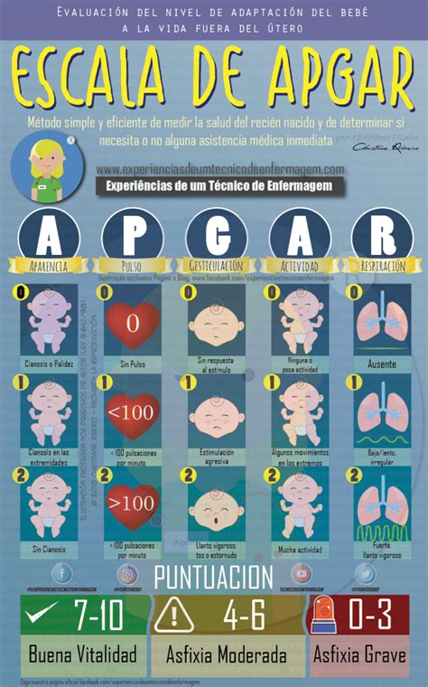 Apgar O Que Significa - Escala de Apgar o Test de apgar - Enfermagem Ilustrada