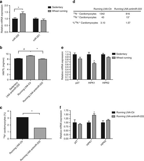 Inhibition Of MiR 222 Prevents Exercise Induced Cardiomyogenesis A