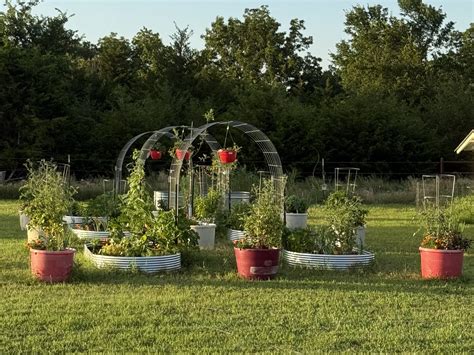 Companion Planting in Oklahoma (Zone 7b): Because Your Garden Deserves