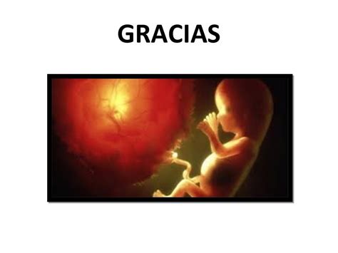 Desprendimiento Y Expulsion De La Placenta