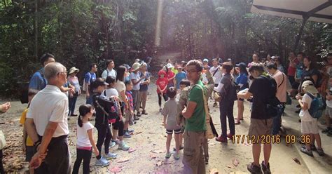 Adventures With The Naked Hermit Crabs 2017 Schedule Naked Hermit Crabs Turn 10