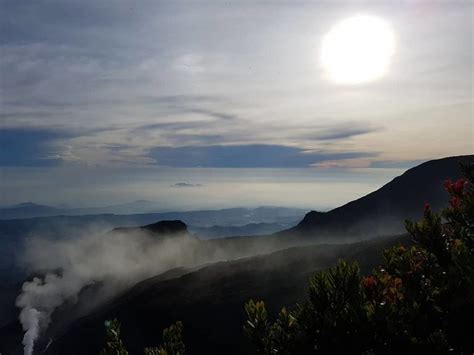 Explore Mount Gede Pangrango National Park | Triptipedia