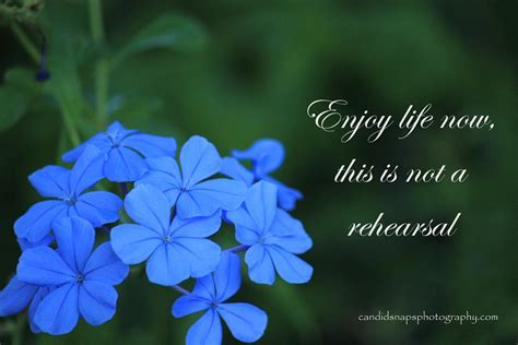 Candid Photography Quotes. QuotesGram