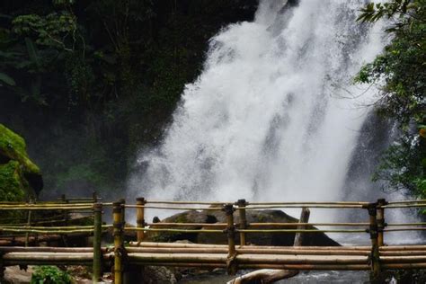 Mount Doi Inthanon Hiking Bird Watching