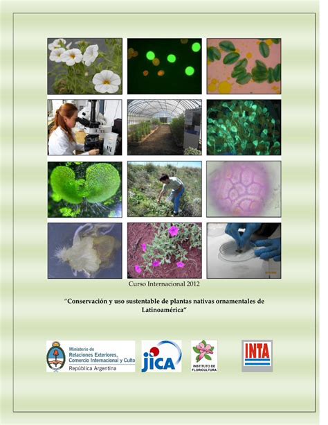 Pdf Conservación Y Uso Sustentable De Plantas Nativas · Detección Recolección Y