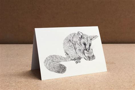 Possum Greeting Card White Possum
